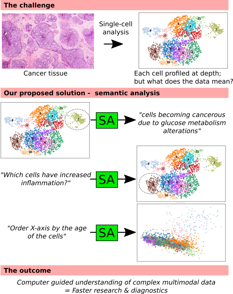 Semantic analysis of single-cell data