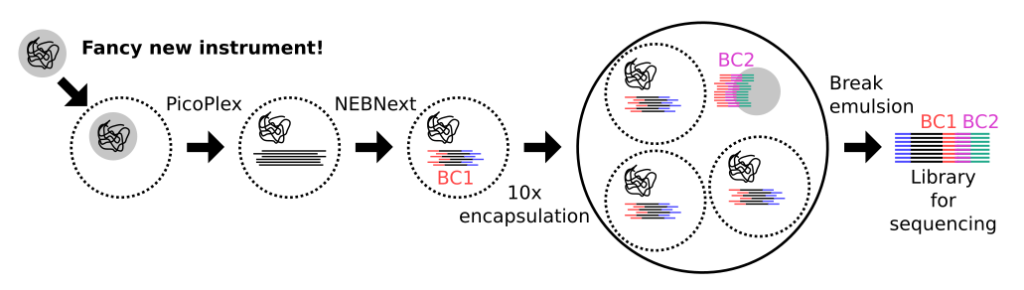 Microbial single-cell genomics