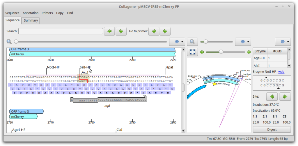 Collagene screenshot: sequence viewer